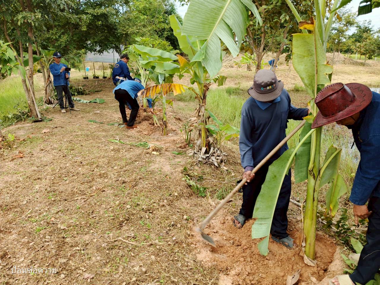 สำนักงานพัฒนาชุมชนอำเภอกุดรัง จังหวัดมหาสารคาม จัดกิจกรรมเอามื้อสามัคคี วันรักต้นไม้ประจำปีของชาติ ปี 2568